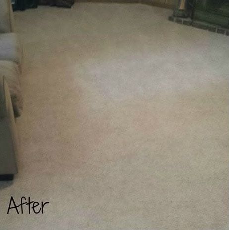 The same carpet after cleaning, lighter and even
