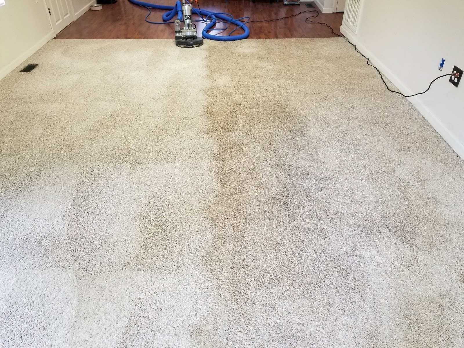 A carpet partway through cleaning, with a cleaning machine at the far end and a visible line between cleaned and uncleaned areas