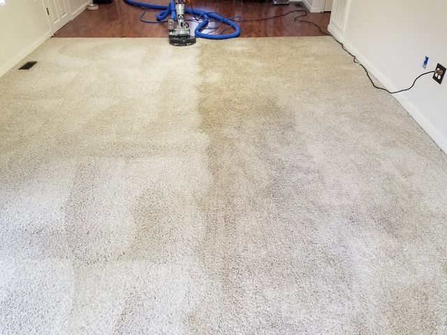 Carpet partway through cleaning, with the cleaned half visibly brighter than the rest