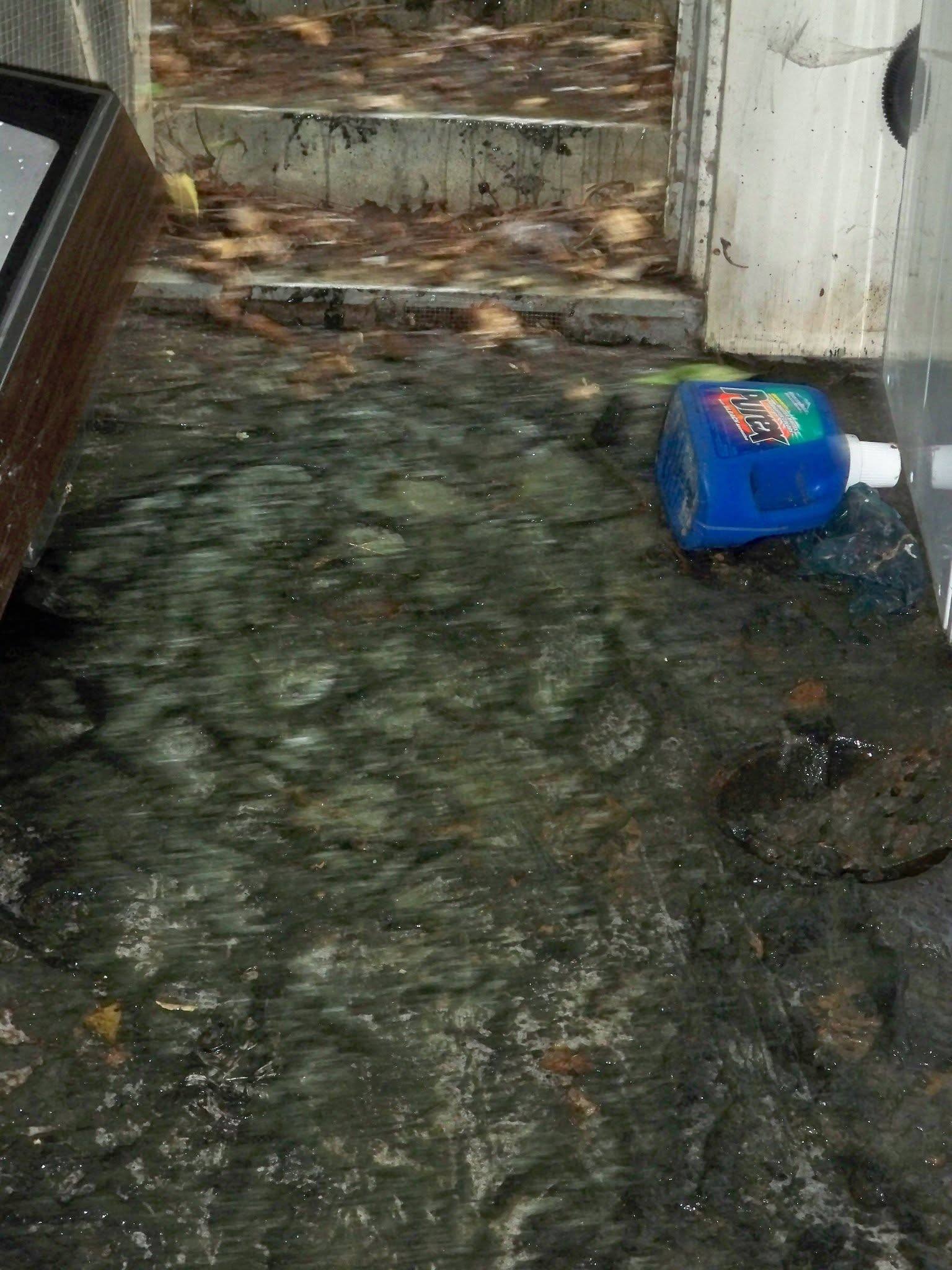 Standing water across a flooded basement floor