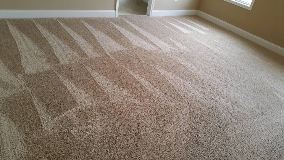 clean brown carpet