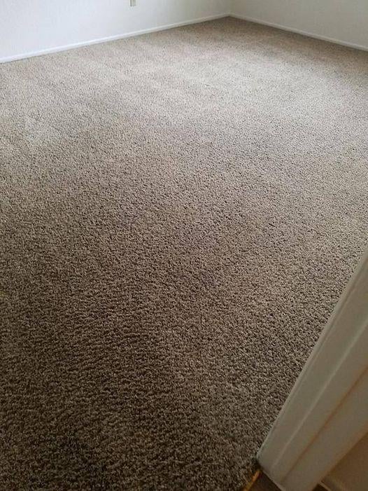 Is Your Carpet Shedding How To Prevent, How Do I Get My Wool Rug To Stop Shedding
